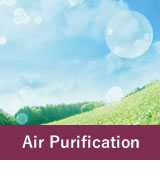 Air Purification