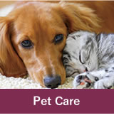 Pet Care